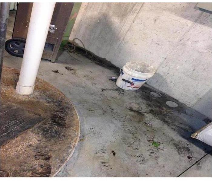 Sewage on a concrete floor after a sewage back up 