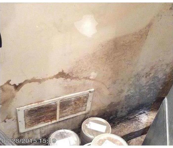 Extensive mold damage on the wall in a utility room, behind the furnace at a commercial building