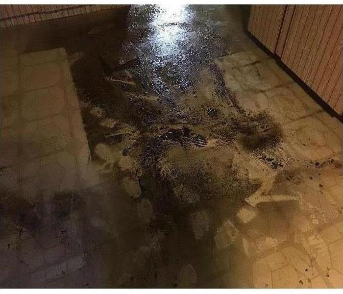 Sewage Back up causes damage to basement after Storm rips through Metro Detroit