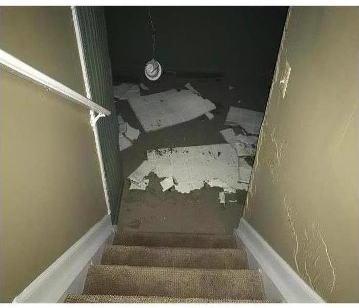 Stairs looking towards basement with fallen ceiling tiles on carpet