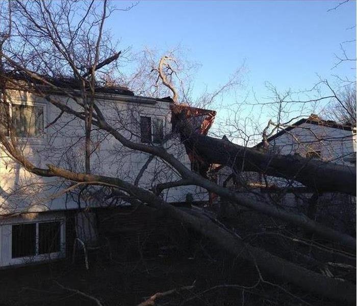 Tree that fell on the roof and home that fell after a windstorm