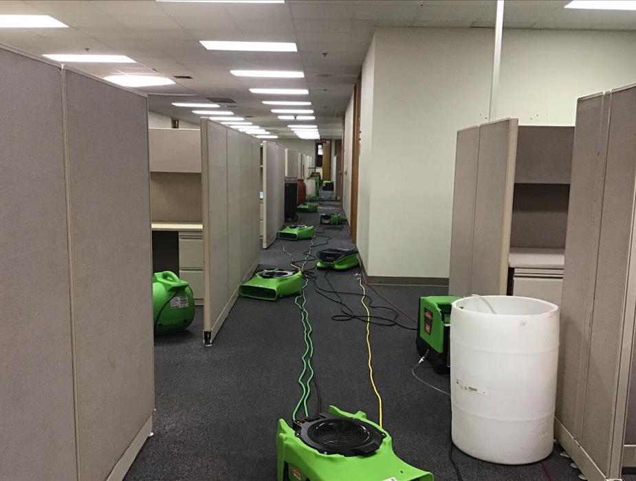 Fans and Dehumidifiers placed in the cubicle area of a commercial building to dry the carpet